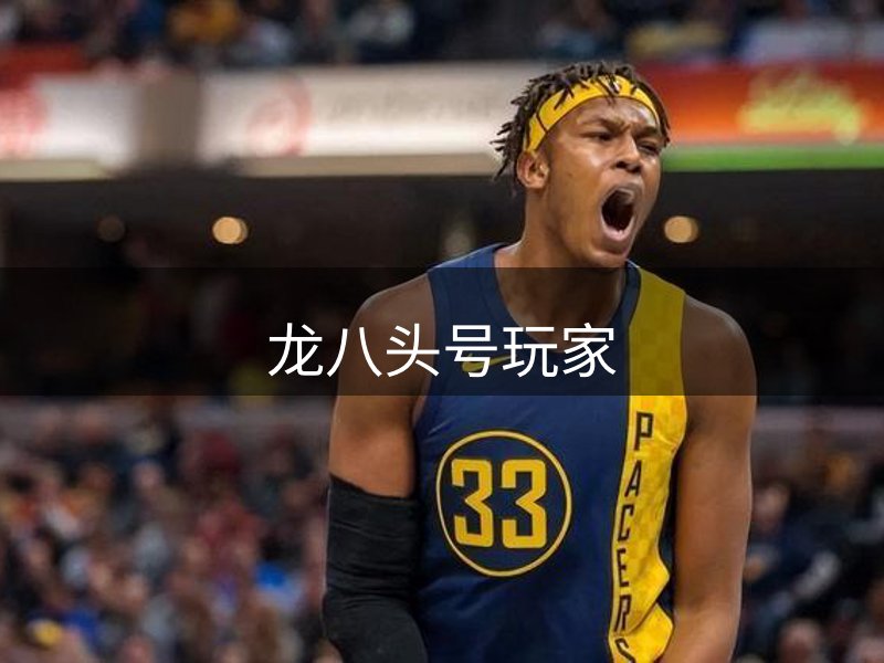 网站介绍
